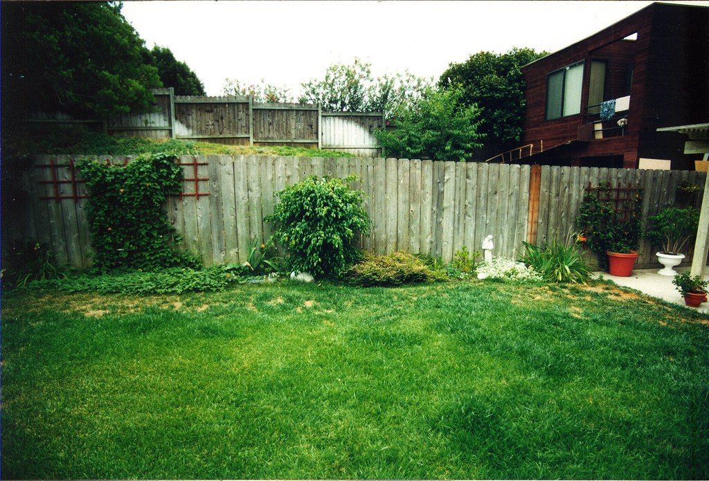 Original backyard photo